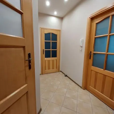 Apartament Cztery Pory Roku * グリヴィツェ