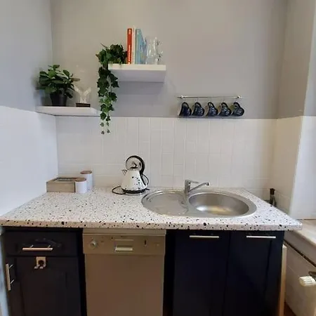 Apartament Cztery Pory Roku アパート グリヴィツェ